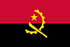 TGM Быстрый панельный опрос в Анголе