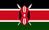 TGM Панель Зарабатывайте наличные в Кении
