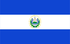 Исследования рынка TGM Panel в Сальвадоре