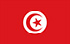 TGM Опросы для заработка наличных в Тунисе